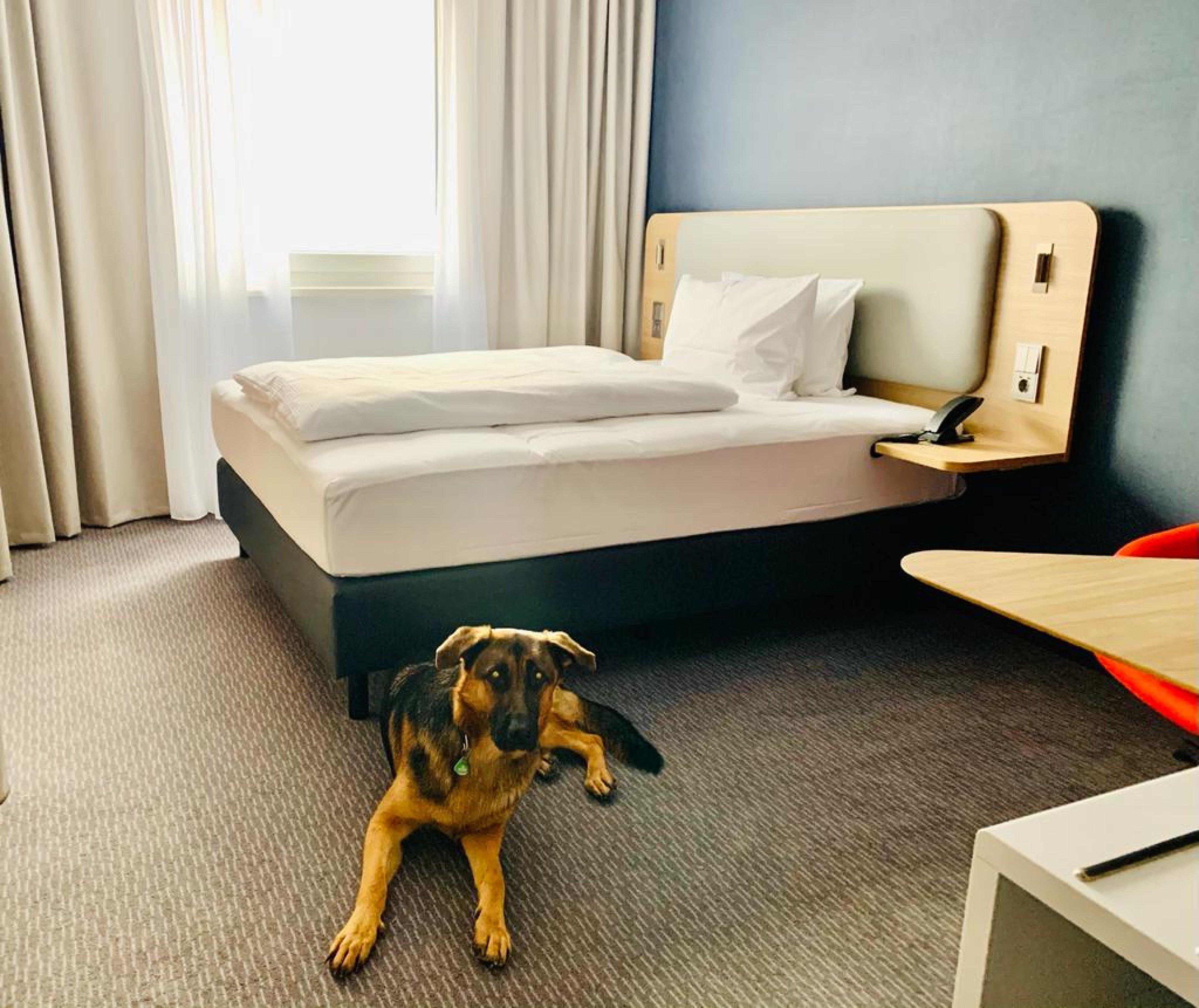 Holiday Inn Express Munich - Olching By Ihg Екстериор снимка